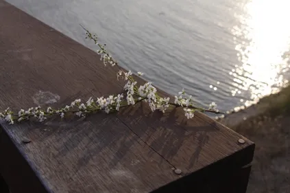 Bordeaux : 250 personnes rendent hommage à Steve