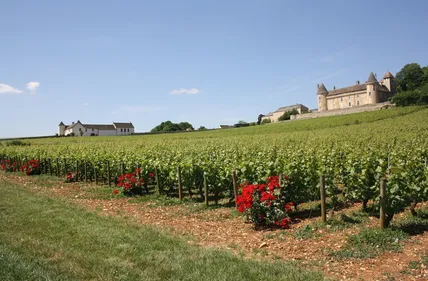 Classement Saint-Emilion : deux viticulteurs renvoyés en...