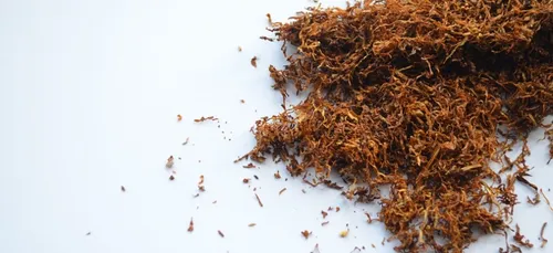 Dordogne : une usine de transformation de tabac ferme...