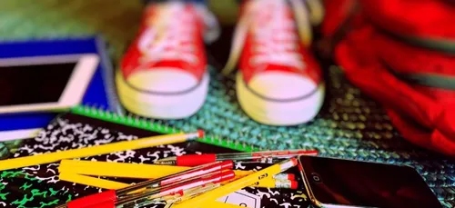 Gironde : 5 000 offres de stage de troisième proposées