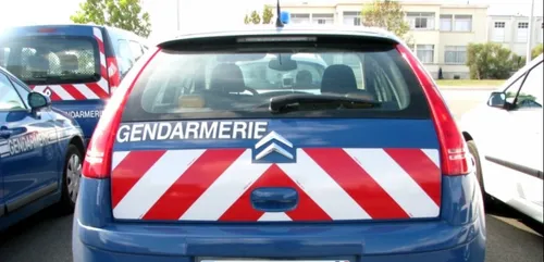 Dordogne : le père qui avait suspendu son bébé dans le vide jugé ce...