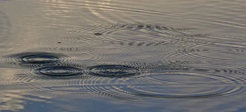 Libourne : baignade et pêche interdites jusqu’à nouvel ordre dans...