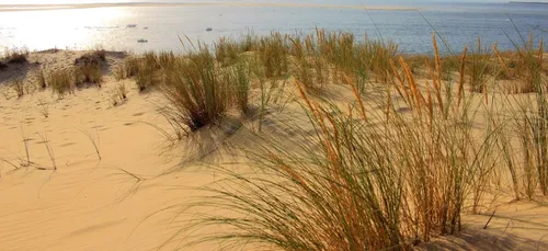 Drogue : les gendarmes se mobilisent sur le littoral aquitain.