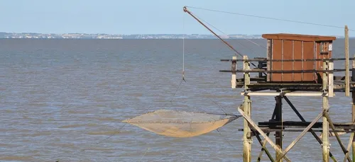 Gironde : record de fréquentation pour les hôtels et campings sur...