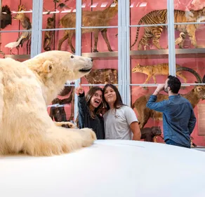 Bordeaux : succès pour le Muséum d’histoire naturelle