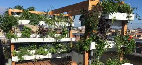 Métropole Bordelaise : la végétation s’installe sur nos espaces...