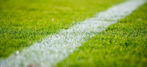 Rugby : l’UBB en tête du championnat de TOP 14