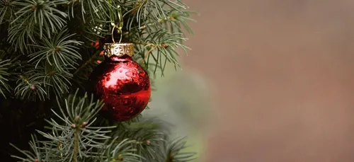 Nouvelle-Aquitaine : des lieux pour jeter  les sapins usagés après...