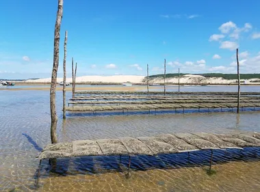 Bassin d'Arcachon : des forages d'eau de mer pour sécuriser la...