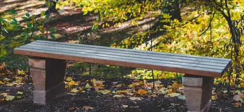 Le parc Bordelais a rouvert ses portes ce mardi