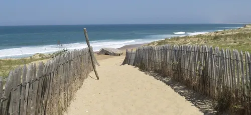 Gironde : des obus datant de la Seconde Guerre mondiale...