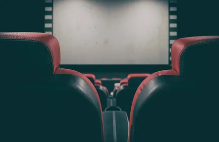 Nouvelle-Aquitaine : les cinémas ont fait salle comble en 2019