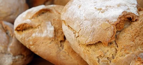 Gironde : les boulangers ravis de voir arriver un label « 100% fait...