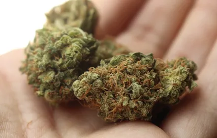 Mérignac : le trafic de drogue a été démantelé