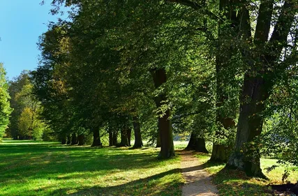 Bègles : un jeune homme décède au parc de Mussonville