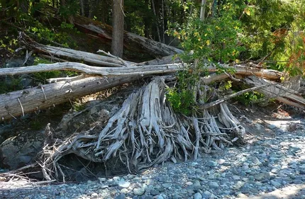 Gironde-sur-Dropt traversée par une mini-tornade