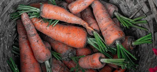 Nouvelle-Aquitaine : soutenons nos producteurs !