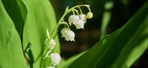 Nouvelle-Aquitaine : un site Internet pour trouver votre vendeur de...