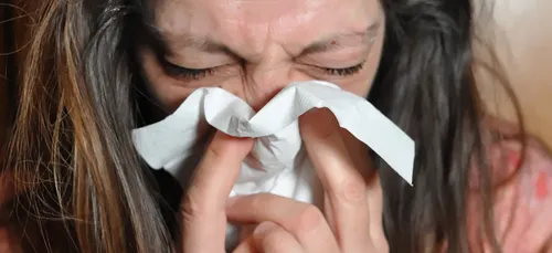 Allergies en Nouvelle-Aquitaine : alerte rouge aux pollens de...