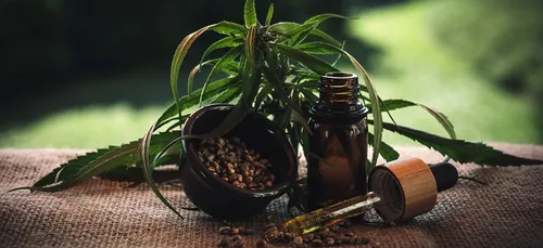 Guide des différents types d’huiles de CBD