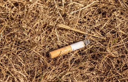 Gironde : passage en vigilance orange pour les feux de forêt