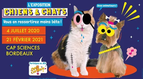 Bordeaux : la science accessible aux plus petits à Cap Sciences