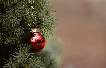 Périgueux en appelle à ses habitants pour préparer Noël