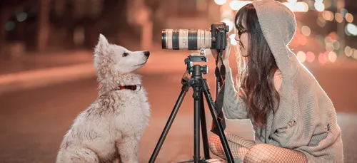 Périgueux : la SPA recrute des modèles pour son calendrier !