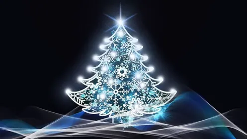 Pierre Hurmic : "la magie de Noël sera conservée", même sans sapin...