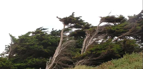 Tempête Barbara : une rafale à 216 km/h enregistrée dans le Pays...