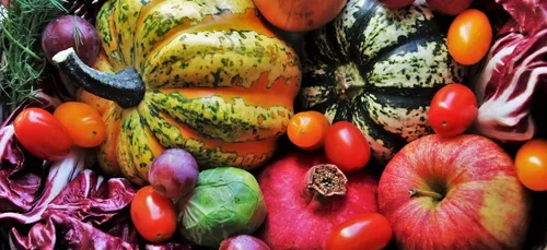 Nouvelle-Aquitaine : une plateforme solidaire pour retrouver les...