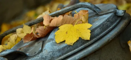 Lormont : elle se fait agresser en sortant ses poubelles, un jeune...
