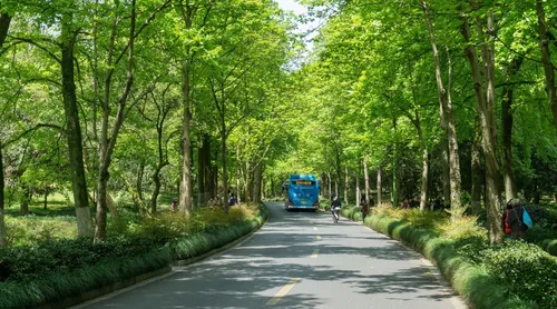 Gironde : des bus verts entre Bordeaux et Belin-Beliet