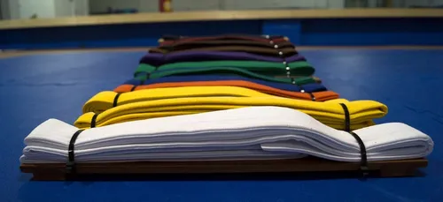 Bordeaux : le gérant du dojo 114 de Bruges met un terme à sa grève...