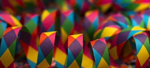 Un carnaval tout en plumes pour la ville de Bègles