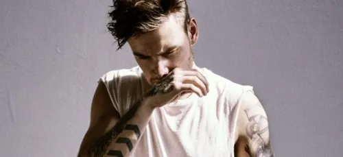 Liam Payne se fait sévèrement chambrer sur Twitter