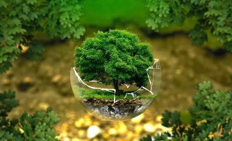 Nouvelle-Aquitaine : des marches pour le climat avant l'examen du...