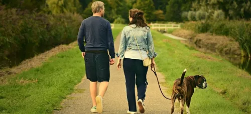 Confinement : comment calculer 10km autour de chez soi ?