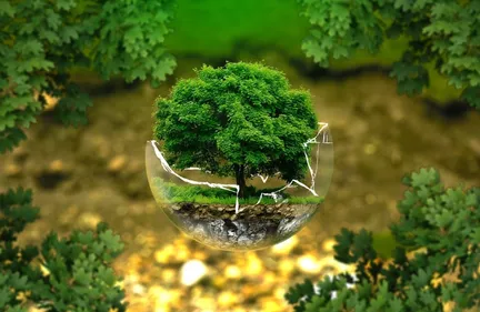 Nouvelle-Aquitaine : des marches pour le climat organisées en...