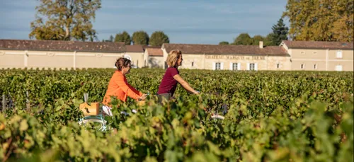 Une journée « zéro carbone » au Château Marquis de Terme