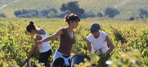 Gironde : les bénéficiaires du RSA pourront travailler tout en...