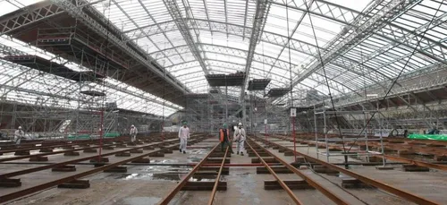 Du plomb dans le sang