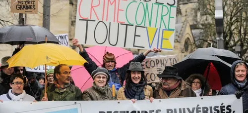 les pesticides en Gironde