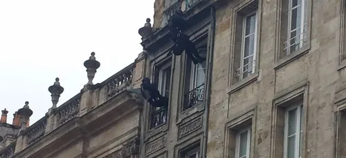 Intervention du RAID à Bordeaux