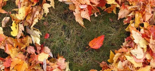 L’automne est la meilleure saison pour trouver l’amour !