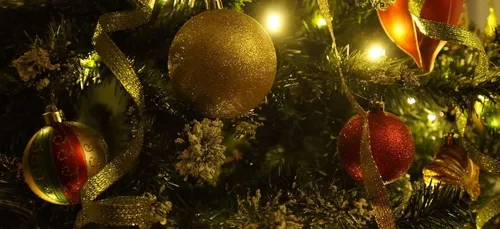À quelle date faut-il faire son sapin ?