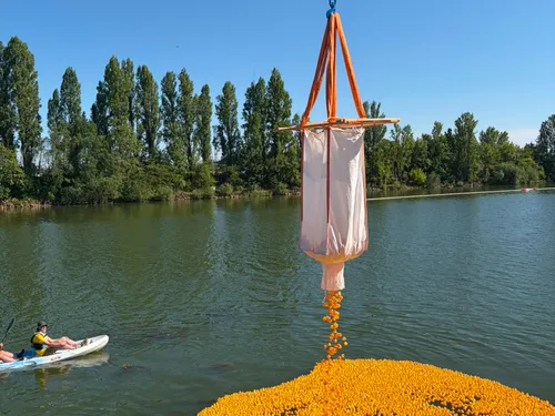 Thionville : une course de canards sur la Moselle 