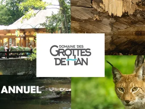 Les Grottes de Han