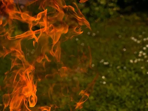 Vigilance "rouge" ce jeudi pour les risques de feux de forêt en...