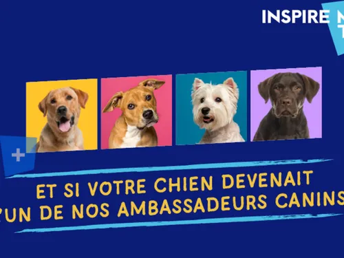 L'Euro-Métropole de Metz recherche ses ambassadeurs canins !